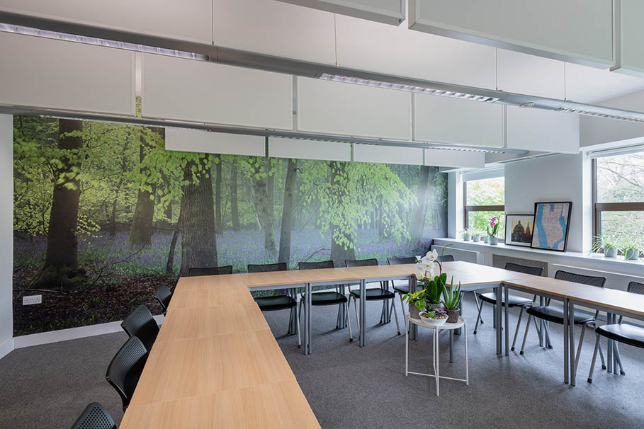 Can Biophilic Classrooms Boost Attainment?